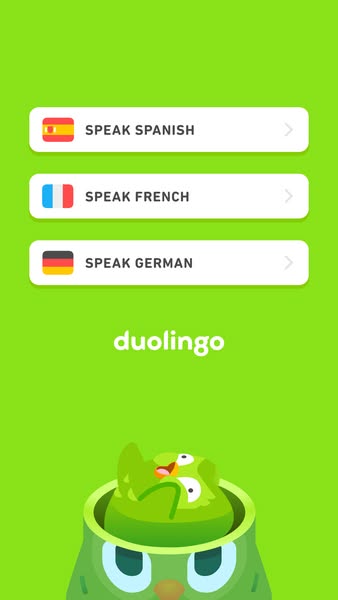 Duolingo Software & Apps ad example