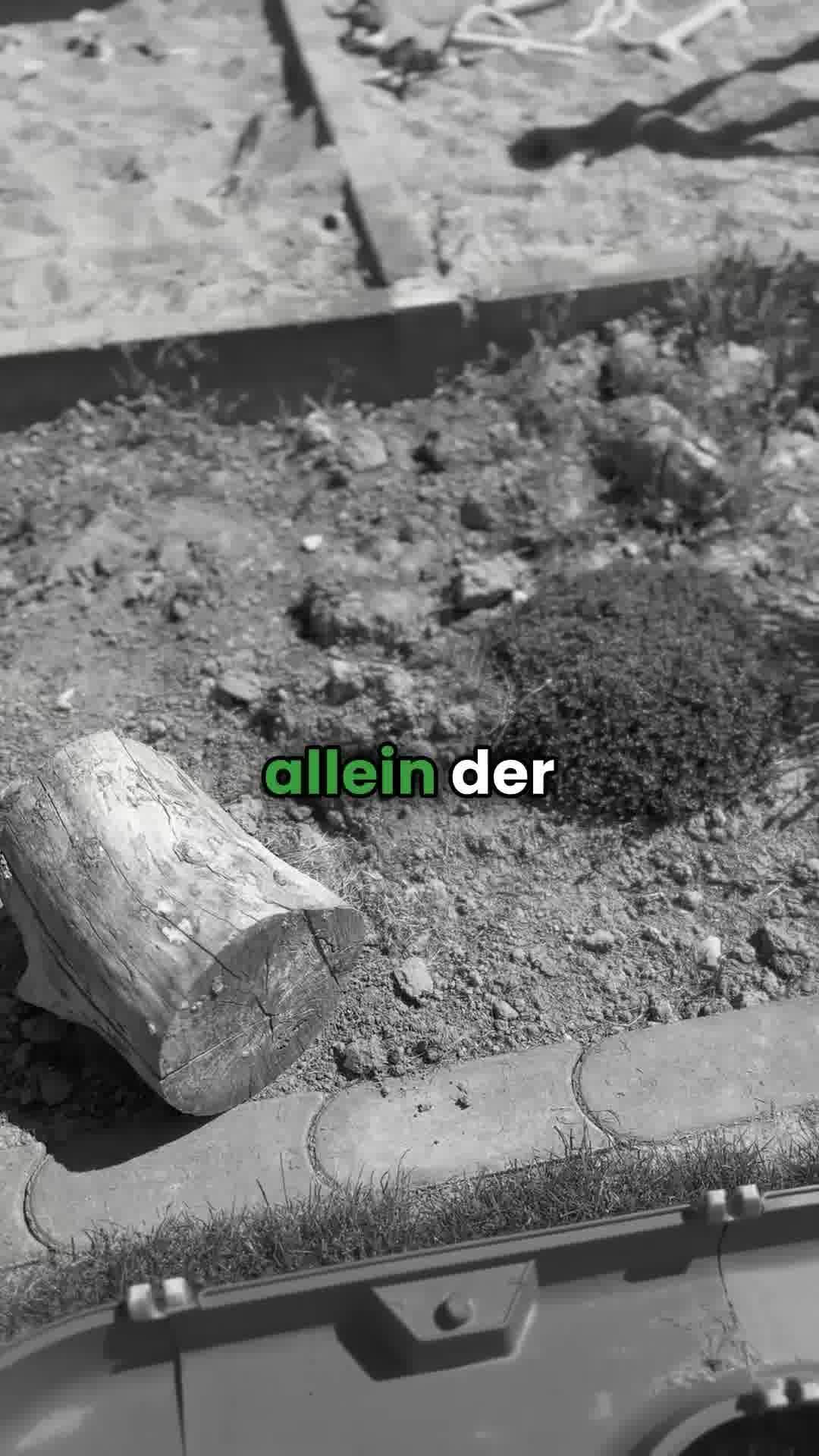 Pflanzmich Garden ad example