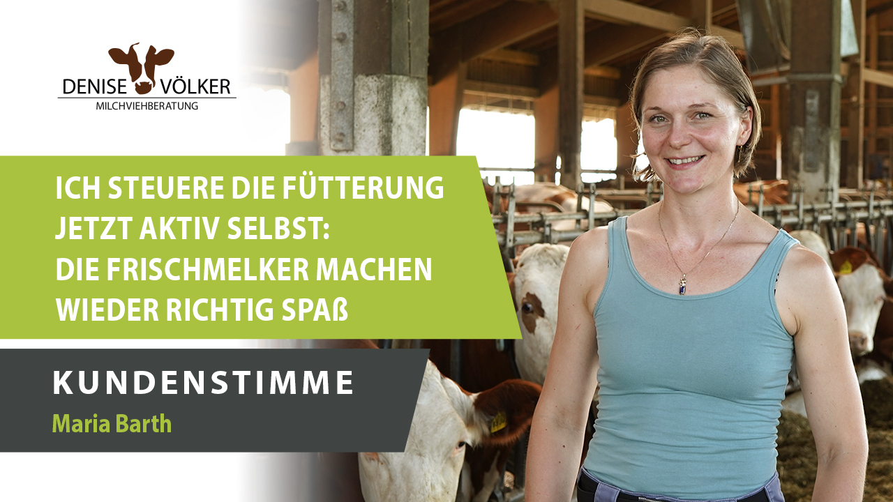 Milchviehberatung Denise Volker Coaching, Consulting & Agency Services ad example