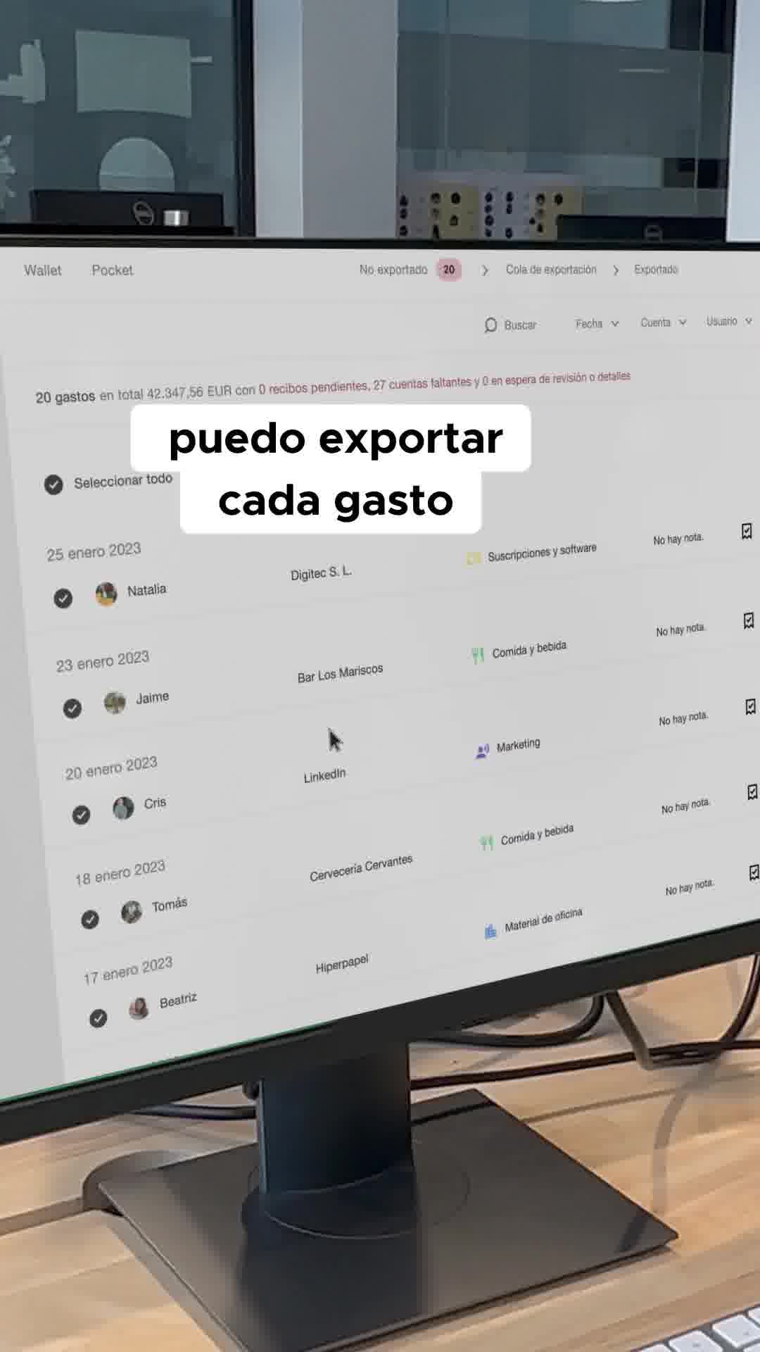 Pleo Software & Apps ad example