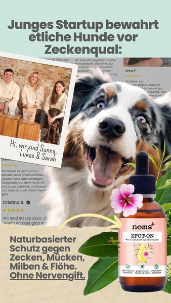 Noms+ Pet & Animal ad example