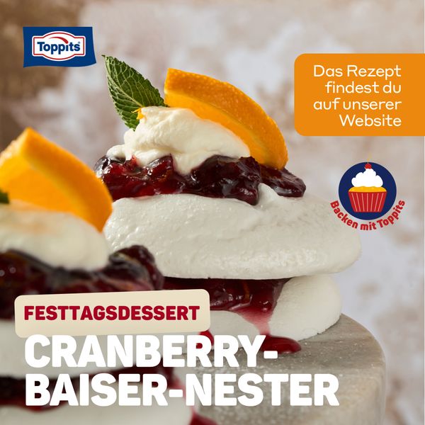 Toppits Deutschland Housewares ad example