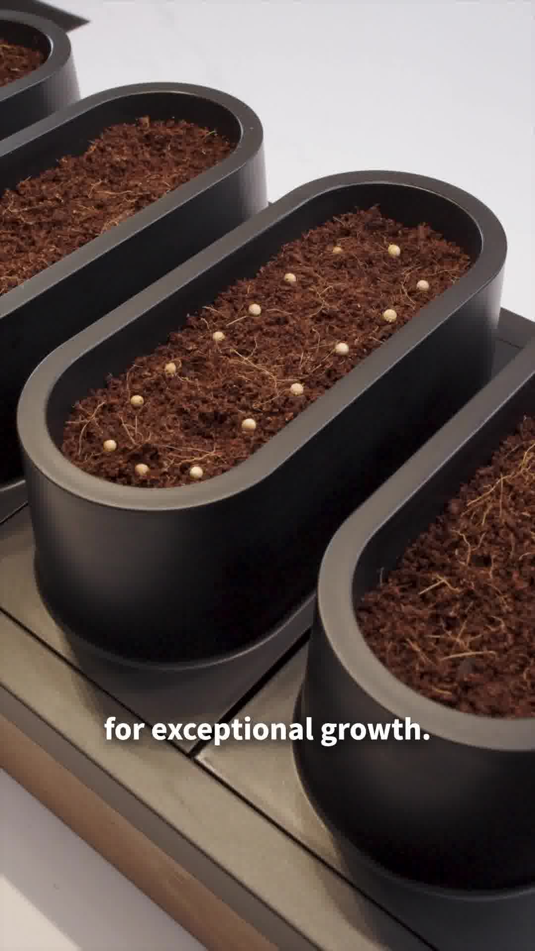 Auk Home & Living ad example