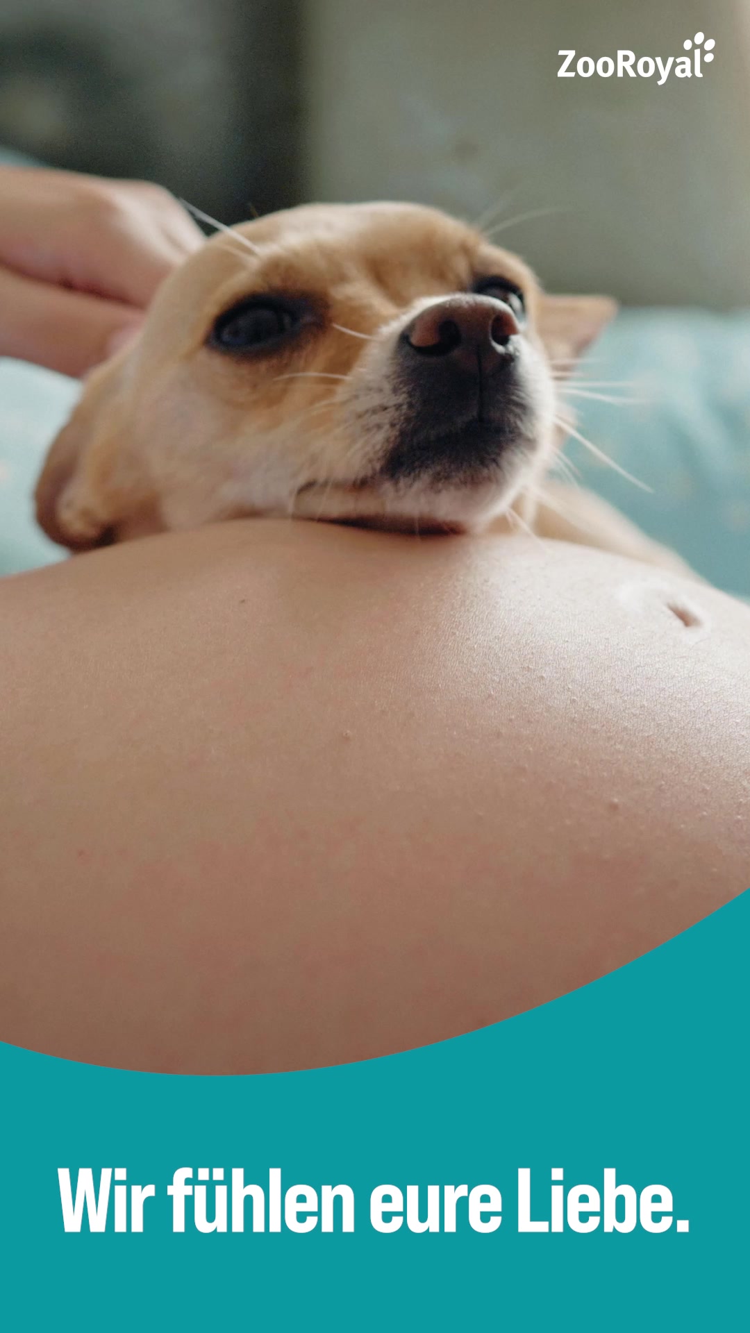 ZooRoyal Pet & Animal ad example