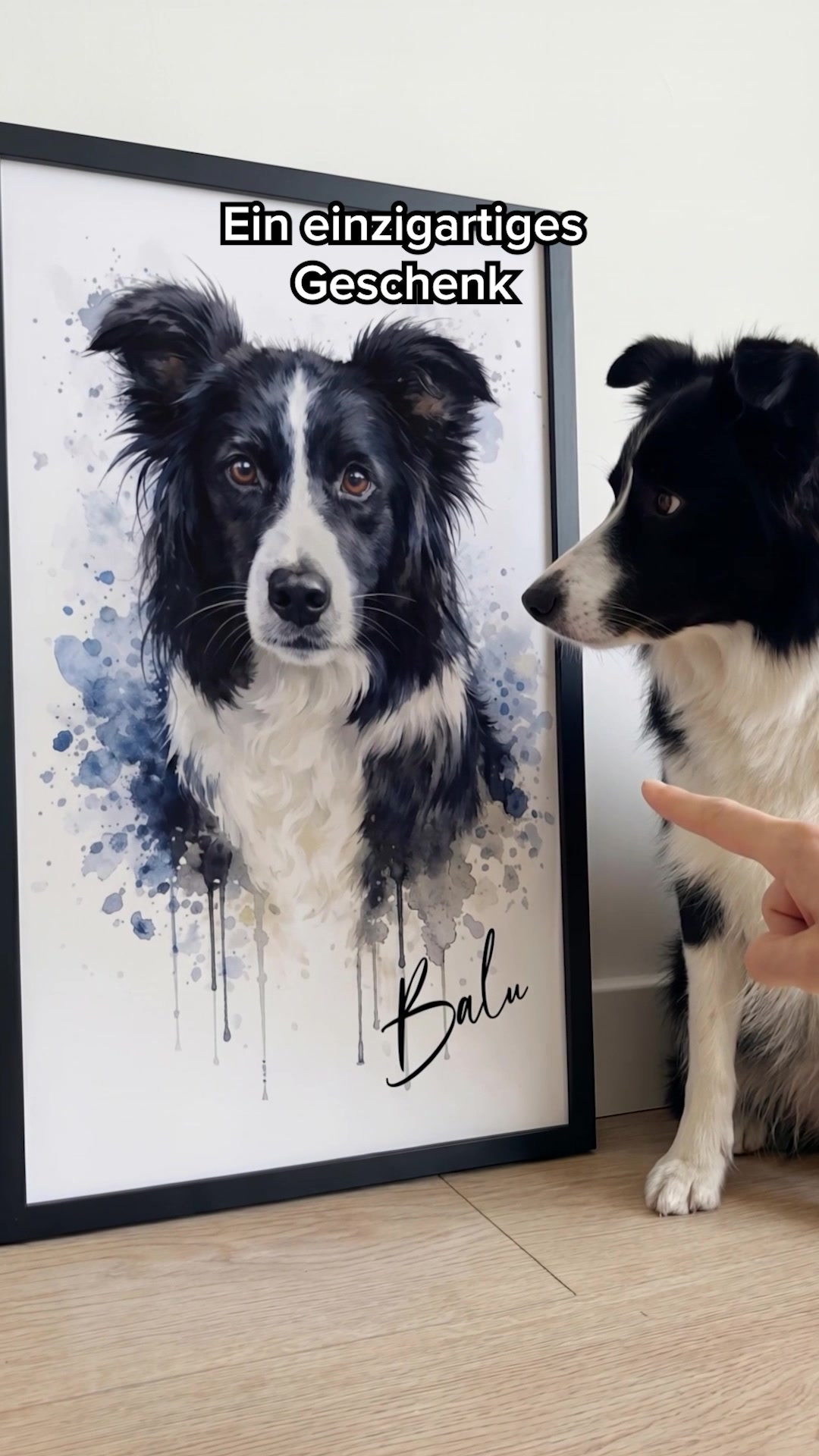 hey balu Pet & Animal ad example