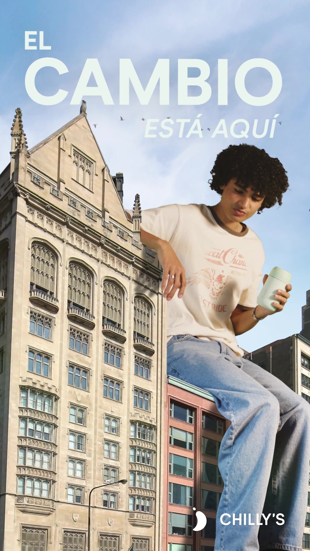 Chilly's Housewares ad example