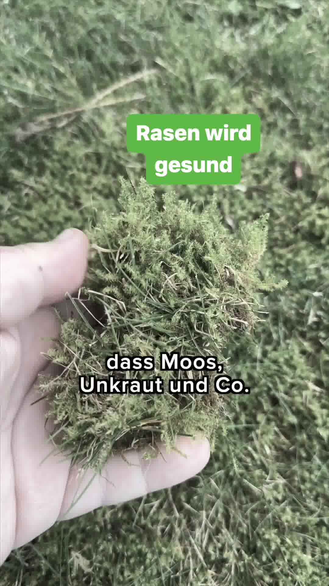 Turbogrün Garden ad example