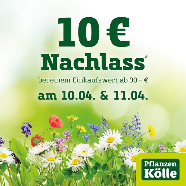 Pflanzen Kölle Garden ad example
